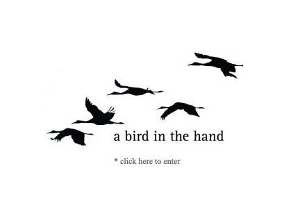 Enter birdinthehandweddings.com