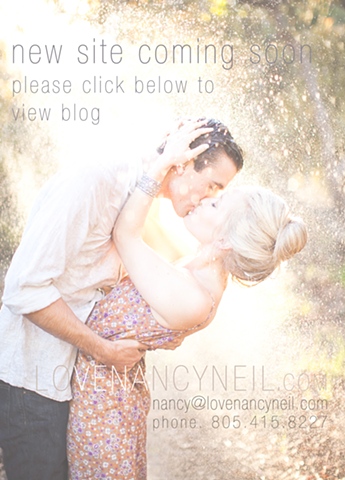 Enter lovenancyneil.com