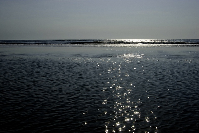 Splash Image