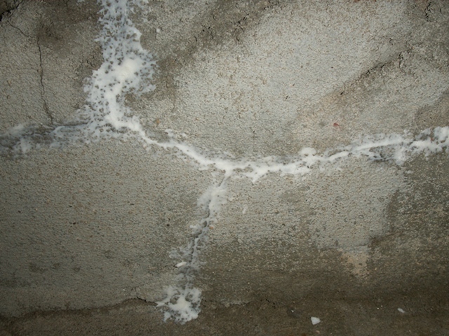 Splash Image