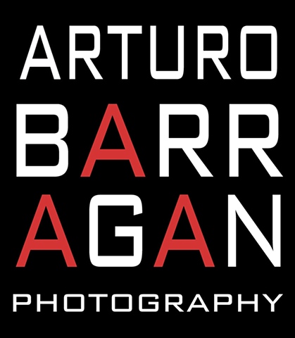 Enter arturobarragan.com
