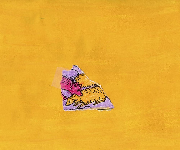 Splash Image