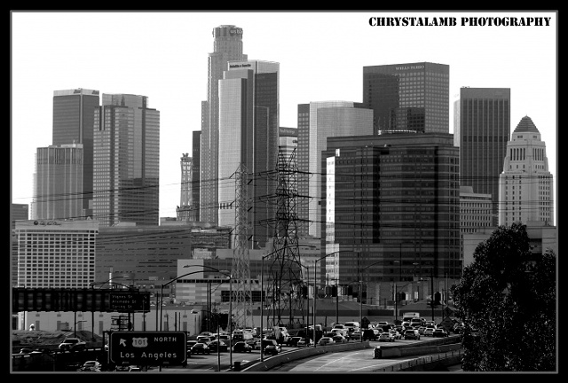 Enter chrystalamb.com