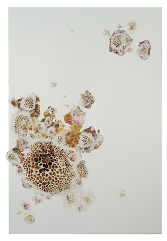 Splash Image