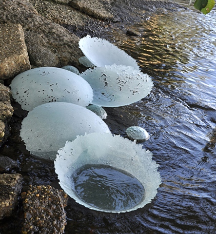 Splash Image