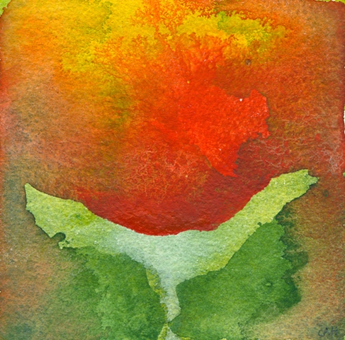 Splash Image