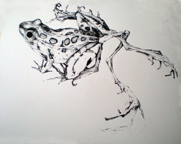 Splash Image