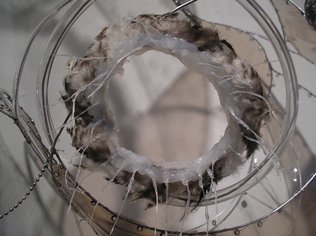 Splash Image