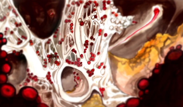 Splash Image