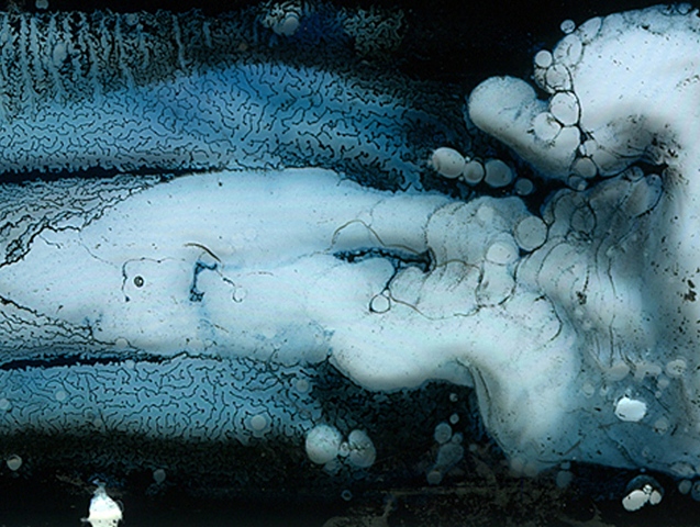 Splash Image