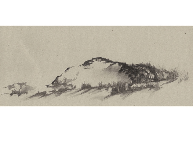 Splash Image